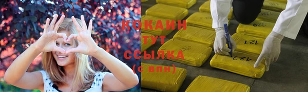шишки Абдулино