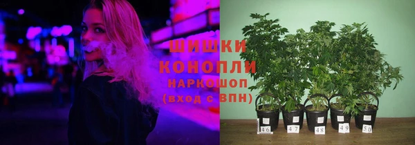 шишки Абдулино