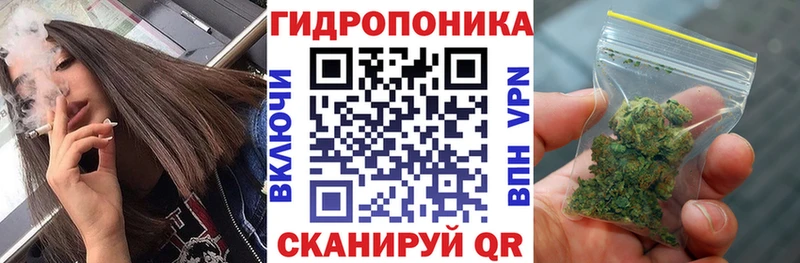 Бошки Шишки семена Подпорожье